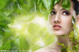 lol押注有哪些软件 Shi Wentian は首を横に振った: Mengyun は部外者を見るのが好きではない