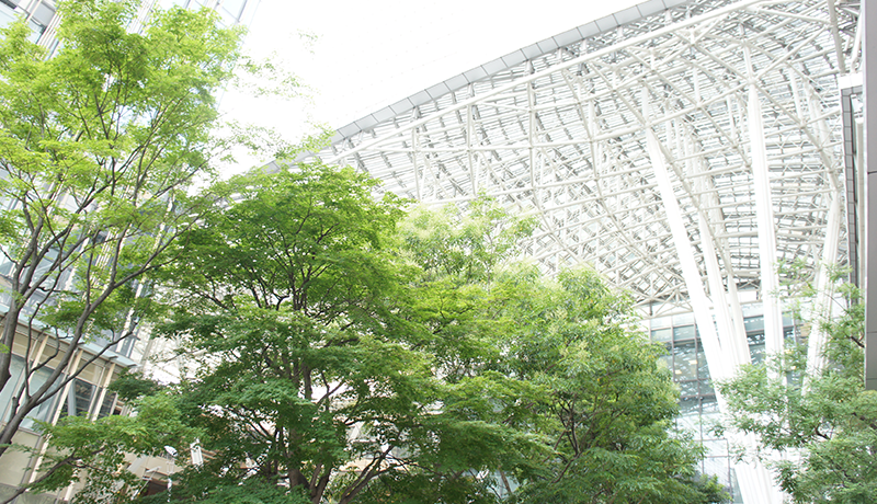 m6体育登录网页版登录 笑大槻ケンヂ（ロックミュージシャン）：さすがだジョージ・ミラー監督